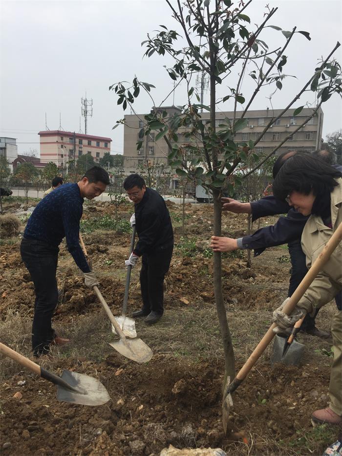 公司組織開展植樹活動(dòng)為企業(yè)增綠添彩